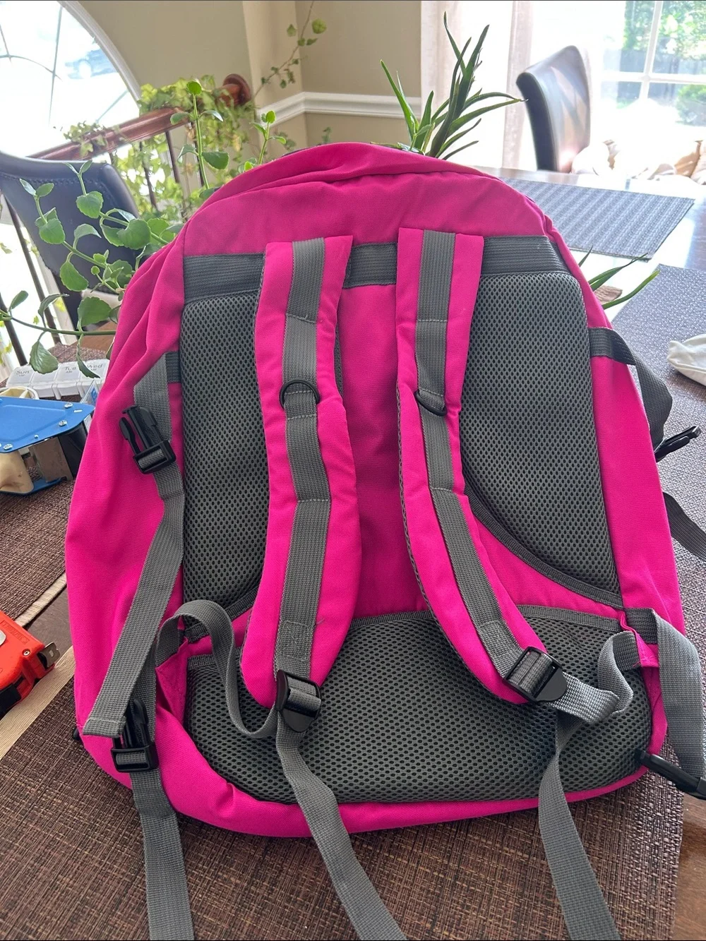 Magenta Travel Backpack for Men